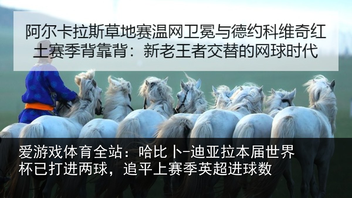 爱游戏体育全站：哈比相关情况杯已相关情况季英超进球数